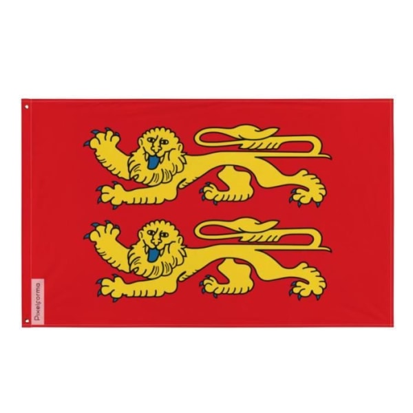 Norman flag med to leoparder 60x90cm polyester