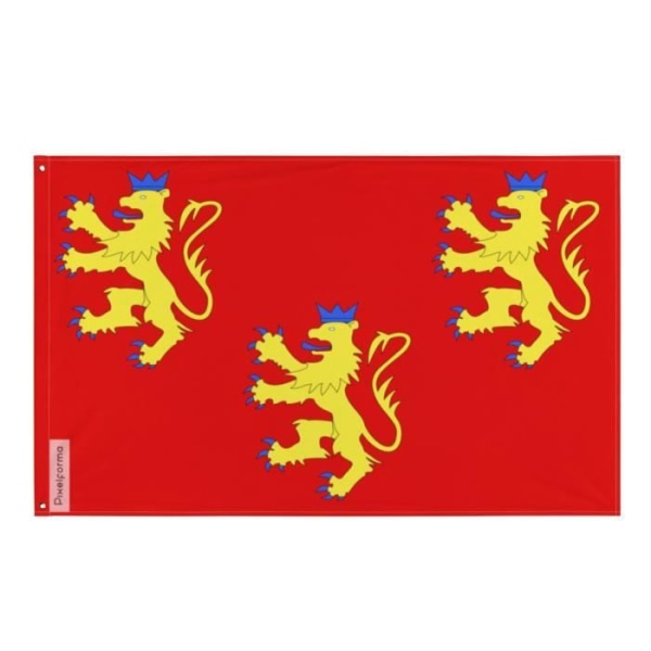 Dordogne flagga 60x90cm i polyester