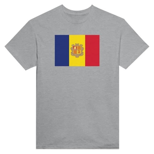 Andorra Flag T-shirt i grå farve Grå XXXL