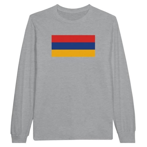 Armenia Flag langærmet T-shirt i grå Grå jag