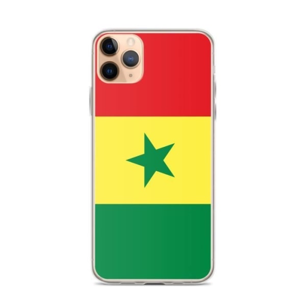 Senegal flag iPhone 11 Pro Max cover