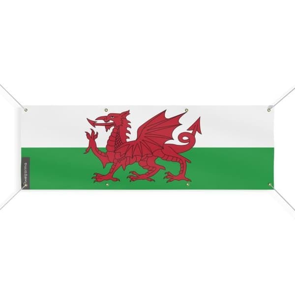 Walesin lippu 8 silmukkaa 110x330 cm