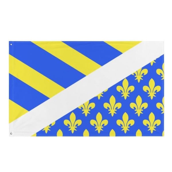 Oise flag 64x96cm i polyester