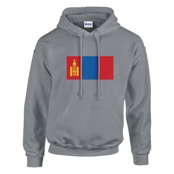 Huppari - PIXELFORMA - Mongolia-lippu - Harmaa - Pitkät hihat - Unisex Grå S