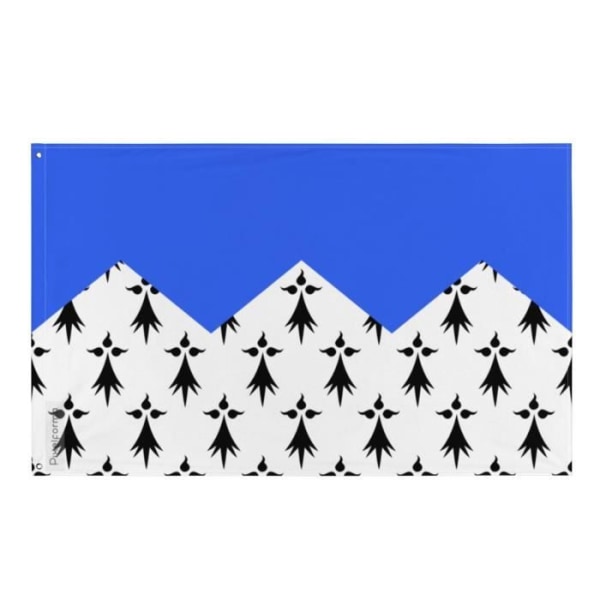 Côtes-d'Armor flag 120x180cm i polyester