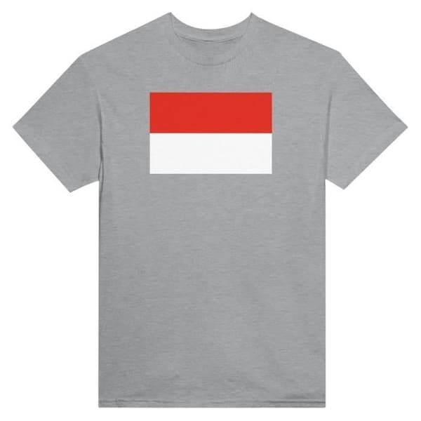 T-shirt - PIXELFORMA - Indonesiens flagga - 100% bomull - Kort ärm - Klassisk modell Grå XL