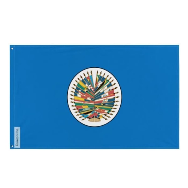 Organisation of American States flag 120x180cm i polyester