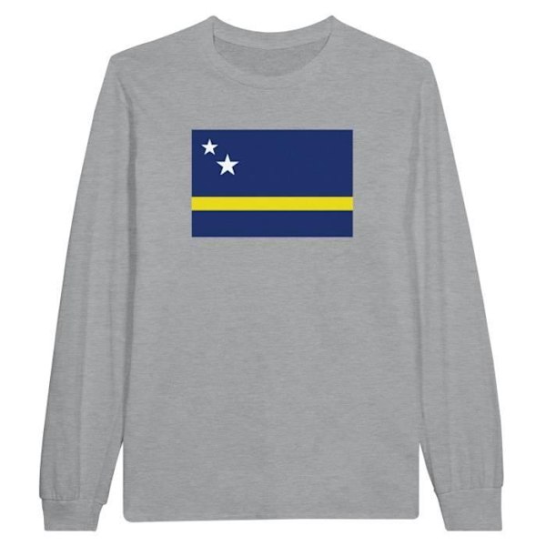 Curacao Flag pitkähihainen t-paita harmaa Grå jag