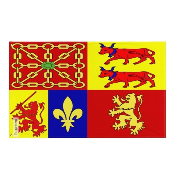 Pyrénées-Atlantiques flag 64x96cm i polyester