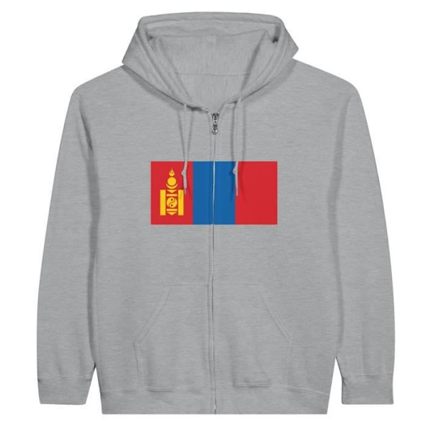 Huppari - PIXELFORMA - Mongolia-lippu - Harmaa - Pitkät hihat - Unisex Grå S