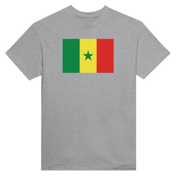 Senegal Flag T-paita harmaalla värillä Grå XXXXL