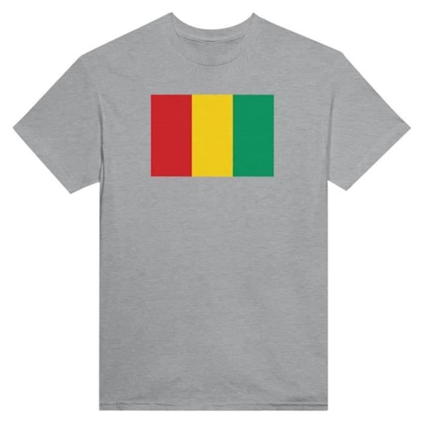 Guinea Flag T-shirt i grå farve Grå M