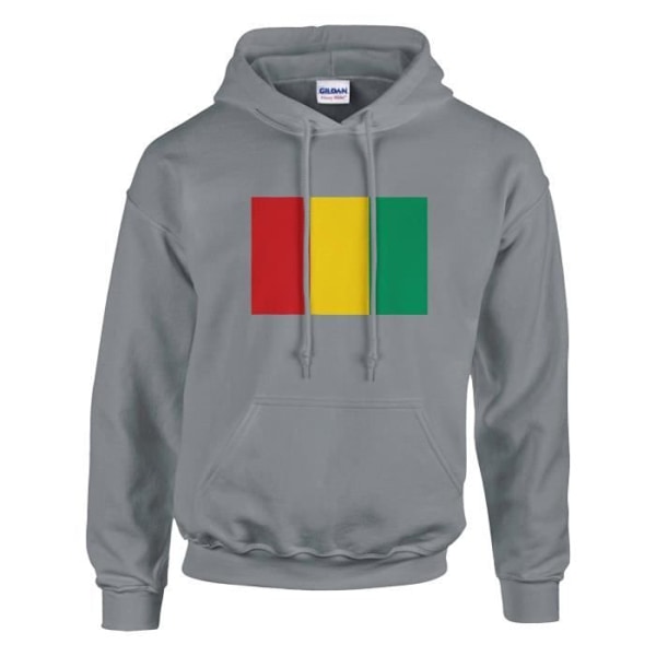 Guinea Flag Hoodie i grått Grå XXL