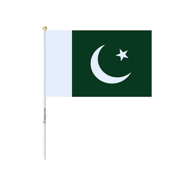 Partier Pakistans Miniflag i 30x45cm i 100 stk