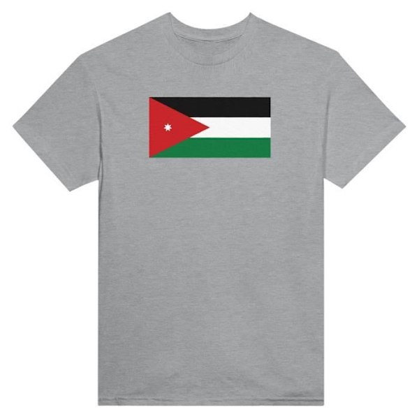 Jordan Flag T-shirt i grå färg Grå S