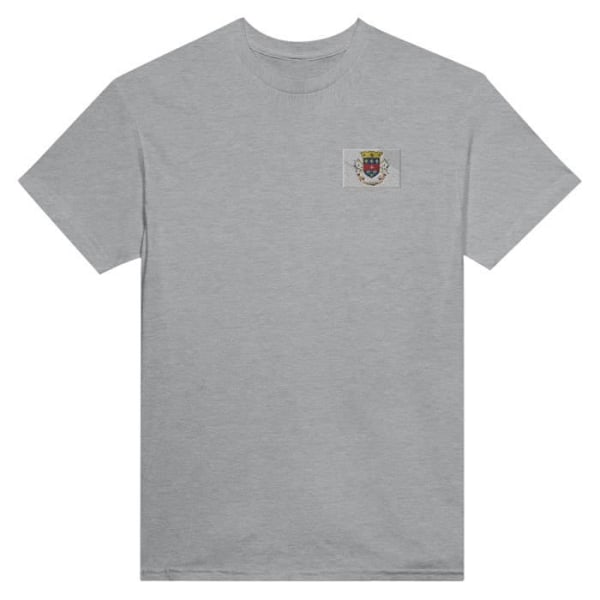 Flag fra Saint-Barthélemy broderi T-shirt i grå Grå XL