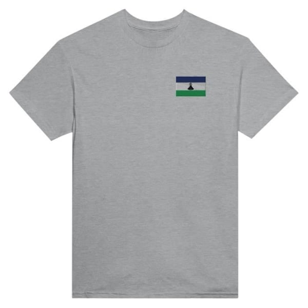 Lesotho Flag Broderi T-Shirt i Grå Grå XXL