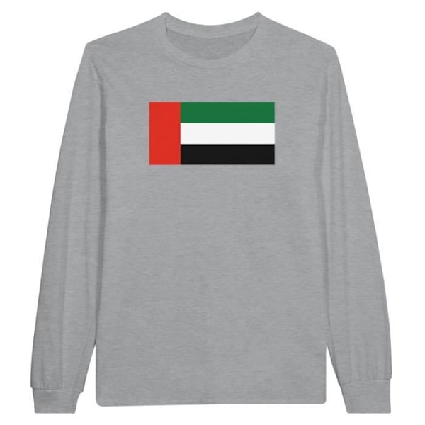 UAE Flag langærmet T-shirt i grå Grå M