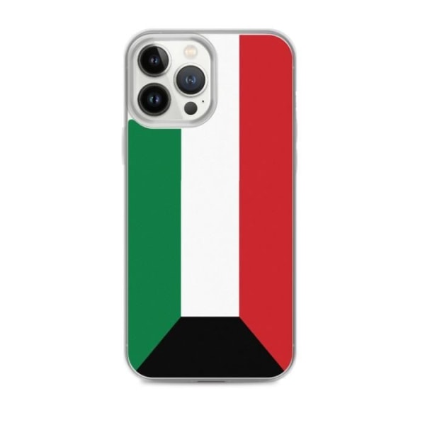 Kuwait Flag iPhone 13 Pro Max skal