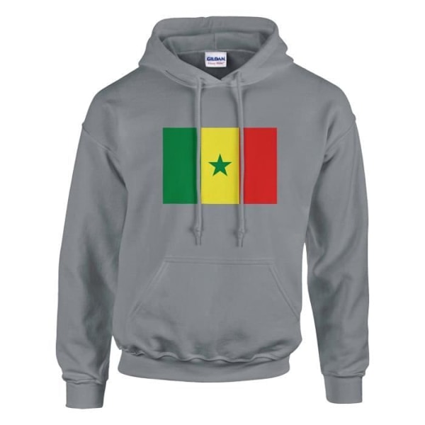 Senegal Flag -huppari harmaalla Grå jag