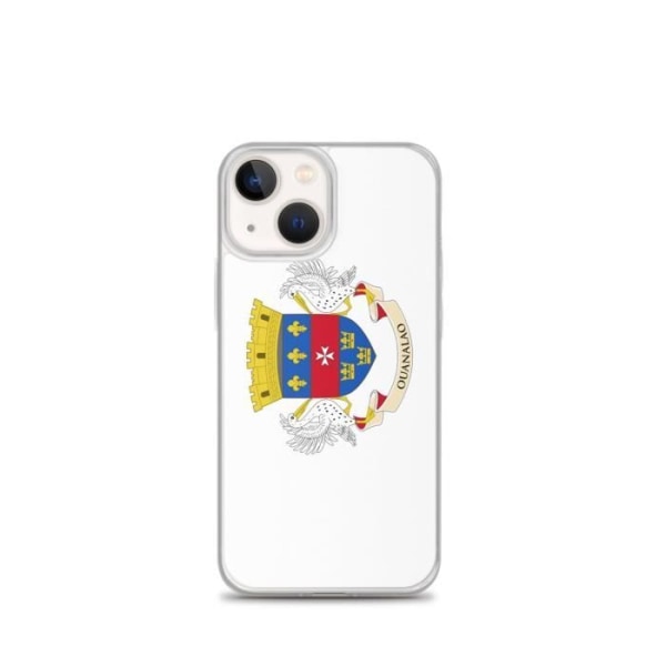 iPhone etui Flag of Saint Barthelemy iPhone 13 mini