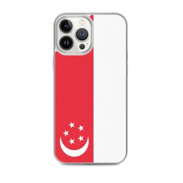 Singapore Flag iPhone 13 Pro Max skal