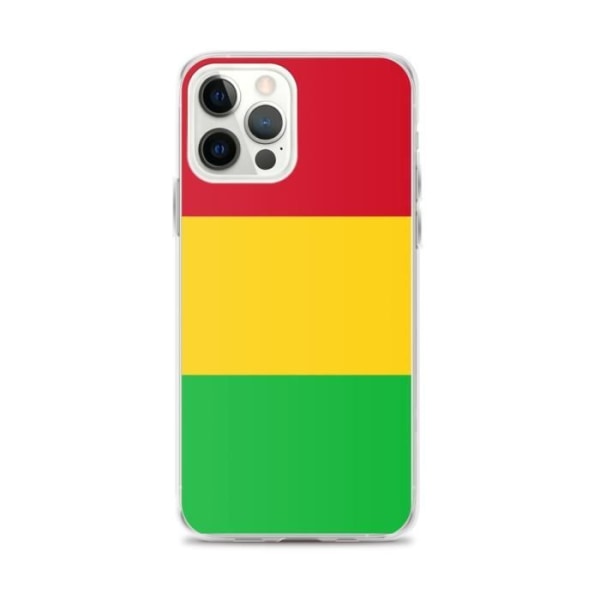 Mali Flag iPhone 12 Pro Max iPhone etui