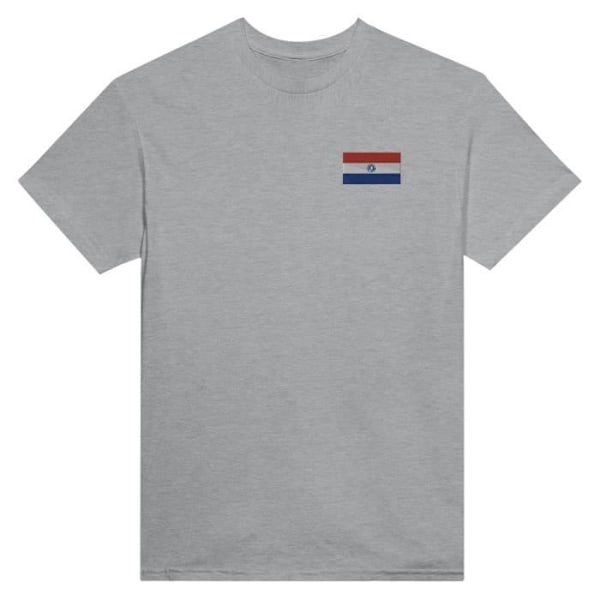 Paraguay Flag Broderi T-shirt i Grå Grå S