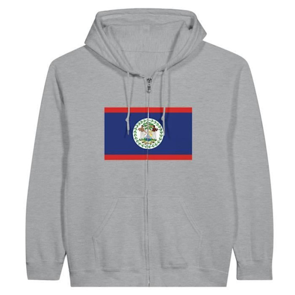 Huppari - PIXELFORMA - Belize-lippu - Harmaa - Pitkät hihat - Unisex Grå M