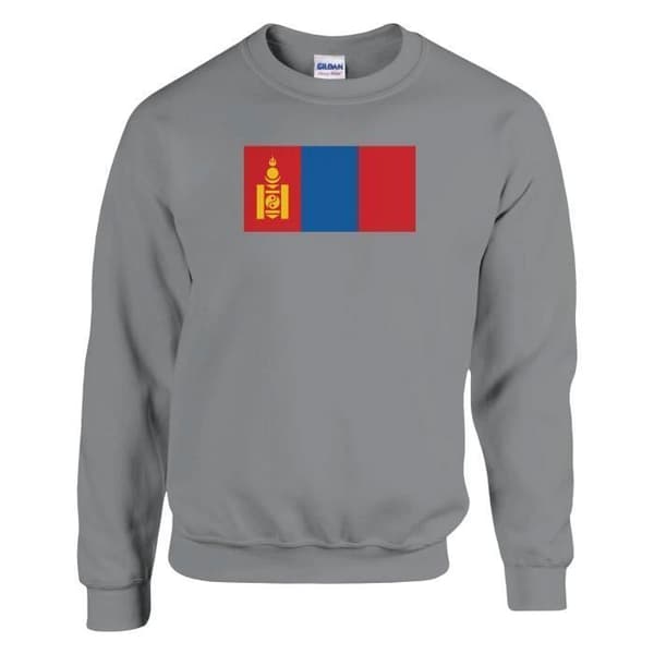 Huppari - PIXELFORMA - Mongolian lippu - Harmaa - Pitkät hihat - Mixed Grå S