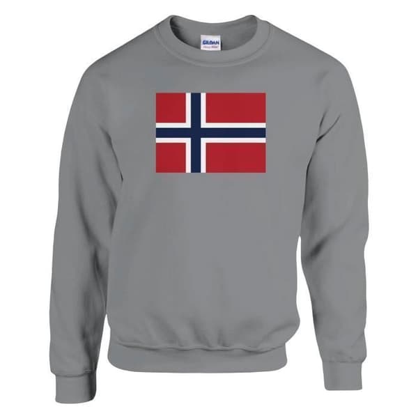 Huppari - PIXELFORMA - Norjan lippu - Harmaa - Pitkät hihat - Unisex Grå M
