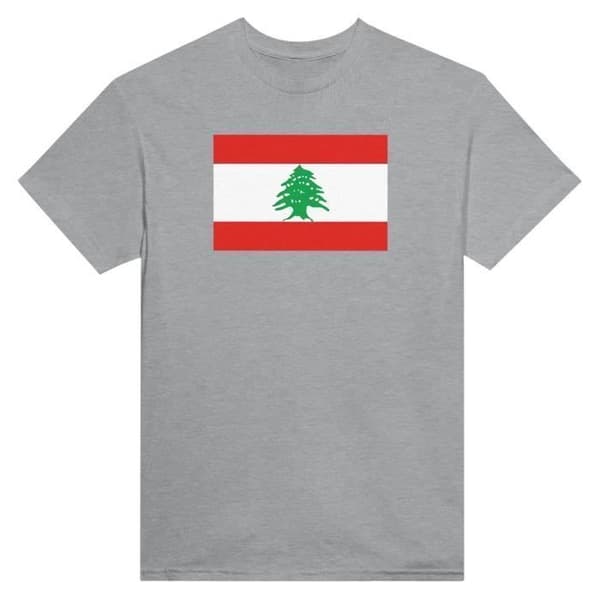 T-shirt - PIXELFORMA - Liban flag - Grå - 100% bomuld - Korte ærmer Grå XXXXL