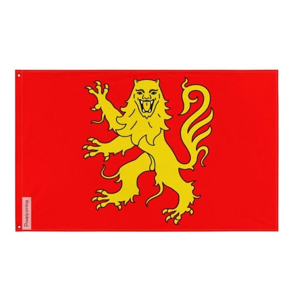 Aveyronin lippu 90 x 150 cm Flerfärgad