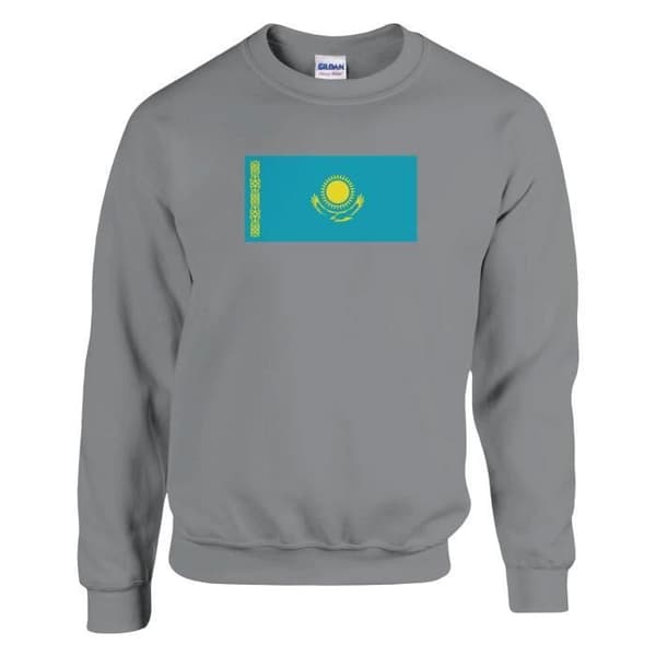 Huppari - PIXELFORMA - Kazakstanin lippu - Harmaa - Pitkät hihat - Klassinen kaulus Grå jag