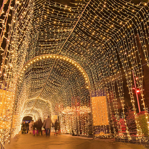 Ljusslinga 100m 1000 LED-slinga Julgransdekorationer Inomhus Julgirlang för Utomhusträdgård Vattentät Festoon Nyår KLB