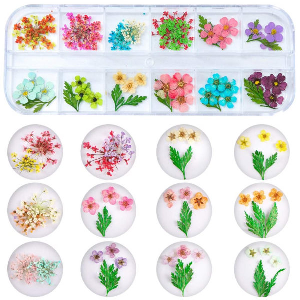 2 lådor torkade blommor för nail art, 24 färger torra blommor Mini riktiga naturliga blommor Nail art 3D applikationer Nageldekoration klistermärke för tips