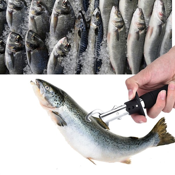 Bärbart fiskegrepp i rostfritt stål, fiskegrepphållare, stark klämkraft, fiskkontroll (#1)