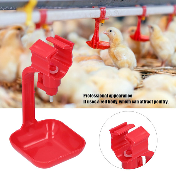 Drickfontän för Kycklingar, Färskt Vatten, Automatisk Vattenautomat Säkerställer Ren Tillförsel För Fjäderfäfarmer Med Mera, 20-pack, Röd, Portabel Och Rostfri
