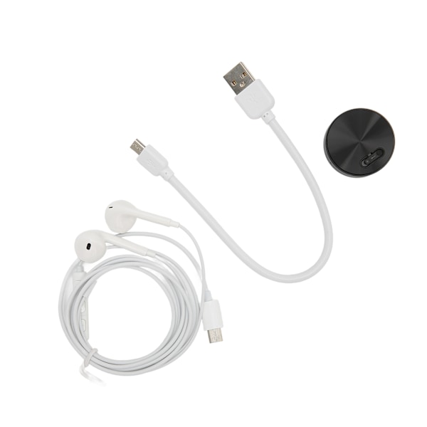 Mini Röstinspelare HD Brusreducering Röstaktiverad USB Uppladdningsbar Fickinspelare för Arbetsstudier Neutral Engelska Svart 8GB (Lagrar Inspelning 96