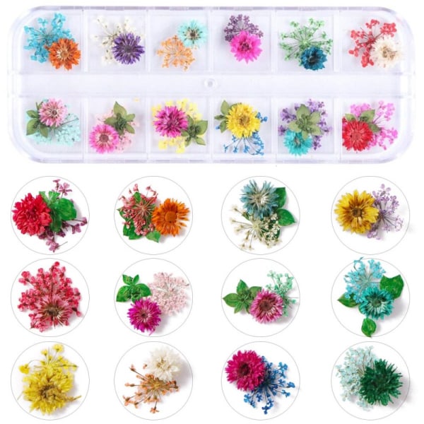 2 lådor torkade blommor för nail art, 24 färger torra blommor Mini riktiga naturliga blommor Nail art 3D applikationer Nageldekoration klistermärke för tips
