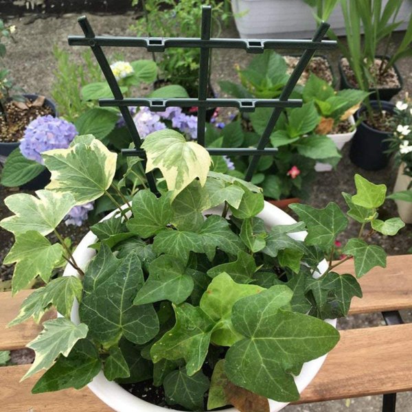 Krukspaljé, spaljé för inomhusväxter, miniplantspaljé DIY Trädgårdsväxtstöd, överlagrat, klättrande spaljé blomstöd för krukklättring