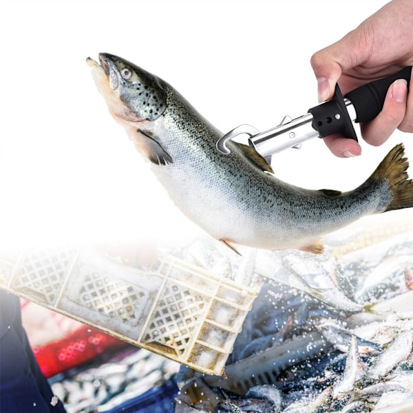 Bärbart fiskegrepp i rostfritt stål, fiskegrepphållare, stark klämkraft, fiskkontroll (#1)