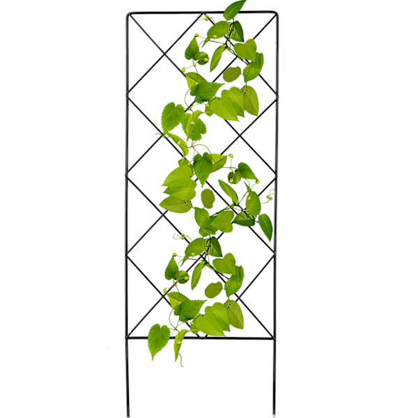 Mångsidig Vinställning, Klätterväxtstöd för Utomhusvin och Blomstöd, Hopfällbart Trädgårdsstöd med Utrymmesbesparande Design och