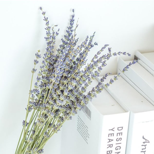 Naturlig Torkad Lavendel, Lugnande Effekter Retro Elegans Dekor För Hem Och Bröllop, 2 Buketter Längd 40-45Cm/15.7-17.7In Lila Torkad Blomma