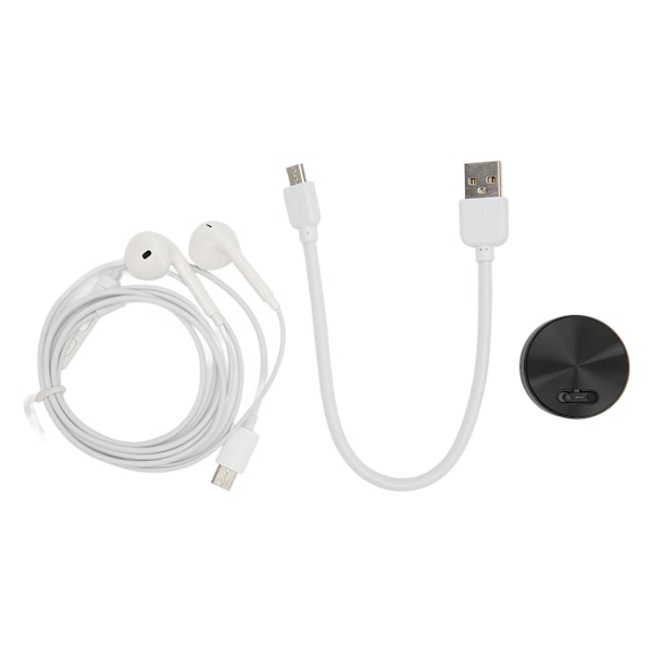 Mini Röstinspelare HD Brusreducering Röstaktiverad USB Uppladdningsbar Fickinspelare för Arbetsstudier Neutral Engelska Svart 8GB (Lagrar Inspelning 96