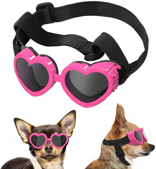Solbriller Hund Briller UV Beskyttelse Kærlighed