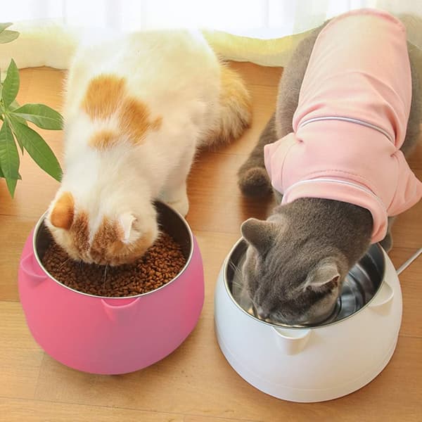 Tiltad kattskål, kattskål i rostfritt stål, set för husdjursskålar