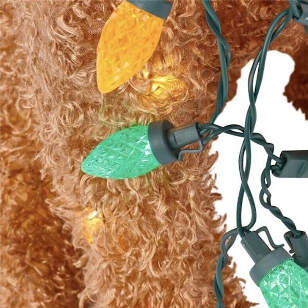 Goldendoodle Jul LED Lysende Fluffy Doodle Hund Dekoration