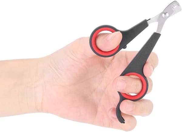 Nagelklippare i solid rostfritt stål, fågelbur Essential Acce