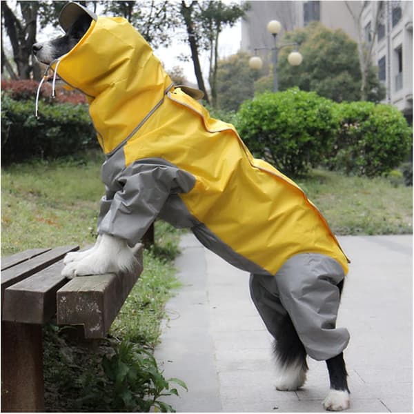 (Storlek: 20) Regnrock för husdjur utomhuskläder